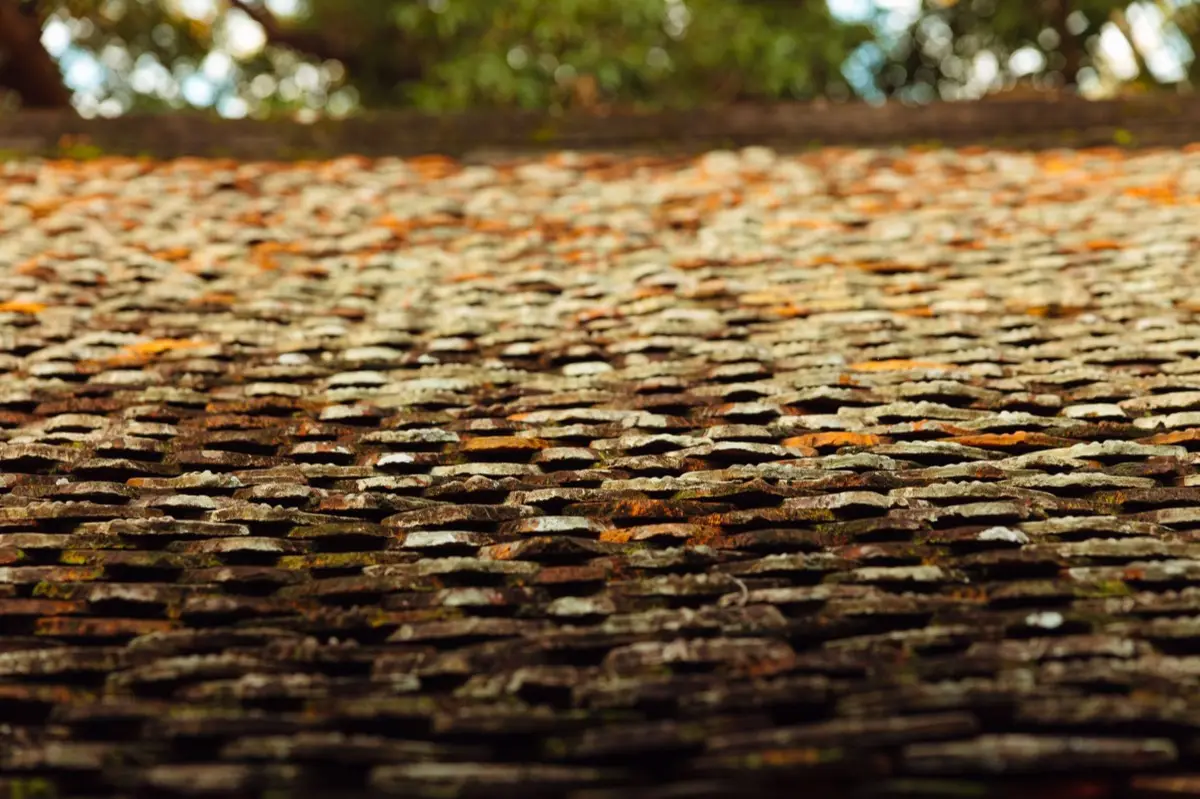 Roof Coatings and Sealing in Rock Hill, SC